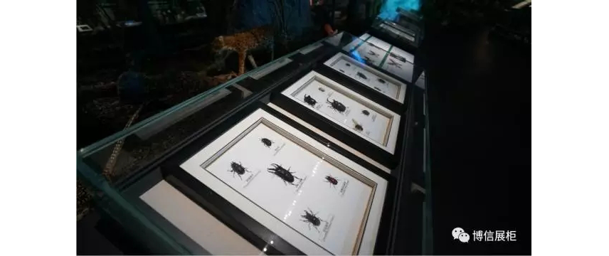 博物館展柜